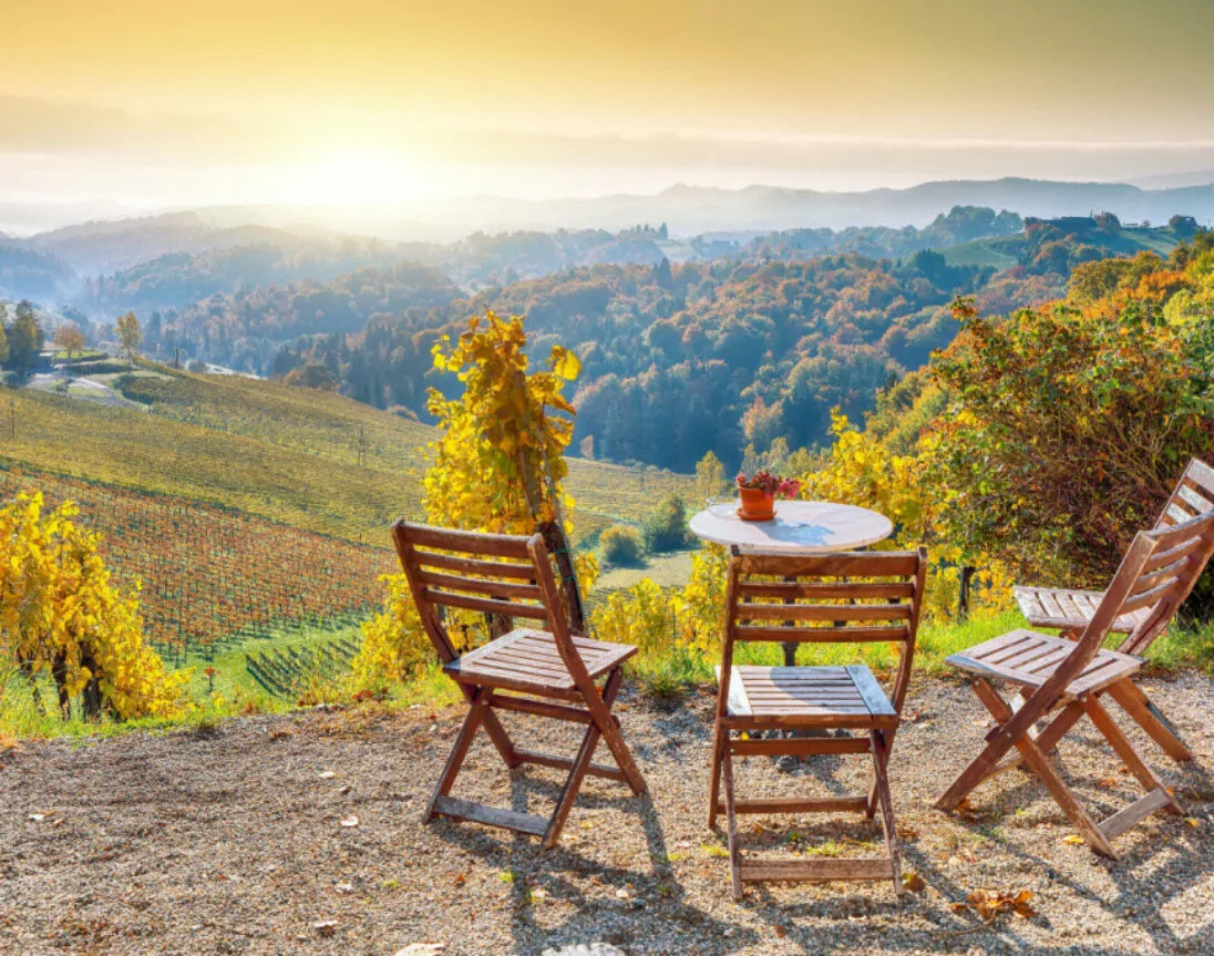 Herbstliche Weinberge in Gamlitz, Südsteiermark, Österreich