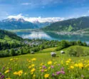 Idyllische Sommerlandschaft, perfekt für einen Urlaub in Österreich